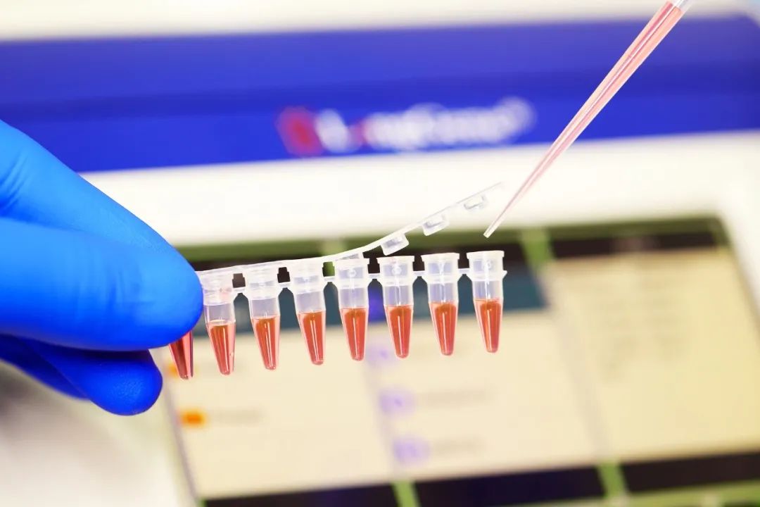 Nola aukeratu PCR/qPCR kontsumigarriak?